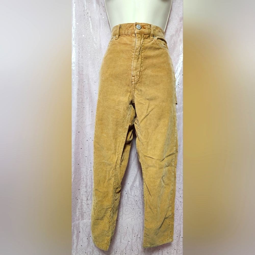 BDG urban outfitters carpenter pants